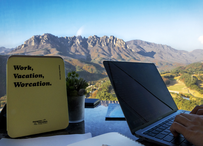 Domestic Tourism Team image2